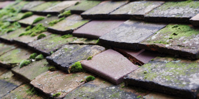 Pymoor roof repair costs